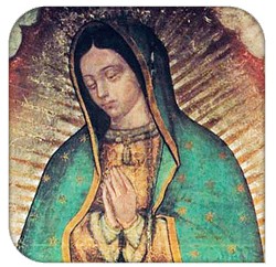 12 Nossa Senhora de Guadalupe